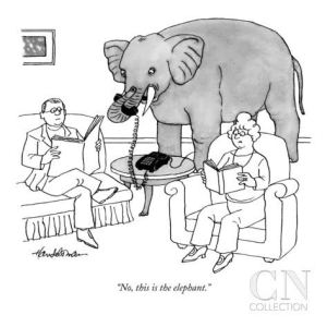 elephant